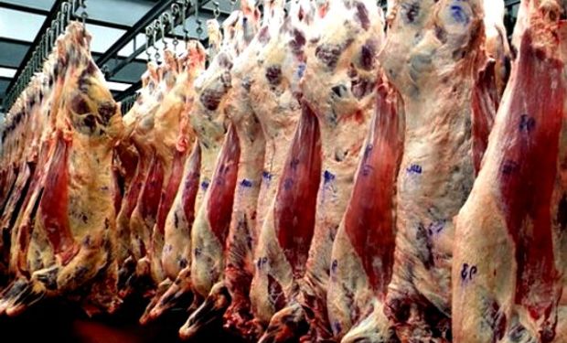 La faena de vacunos cayó un 4 % en septiembre por la restricción a las exportaciones