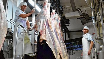La faena de bovinos creció un 3,3 % en relación a 2019 y la participación del mercado interno cayó