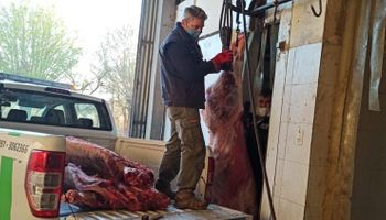 Córdoba: clausuran una fábrica de chacinados por utilizar carne procedente de faena clandestina