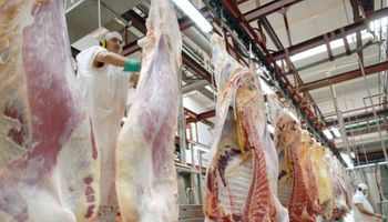 Quiénes fueron los principales faenadores en septiembre