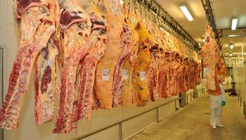 Regularizan la situación impositiva de establecimientos faenadores bonaerenses