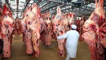 La faena argentina sigue en fase de equilibrio