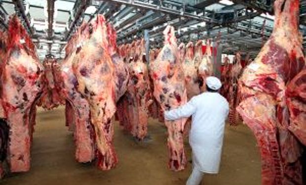 La faena argentina sigue en fase de equilibrio