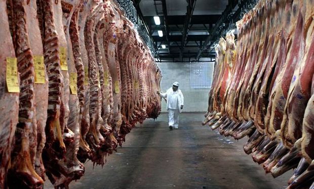 El porcentaje de hembras en la faena se ubicó en septiembre en 45,7 por ciento, tres puntos porcentuales más que en igual mes del año anterior.