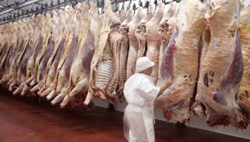 Es oficial: qué dice el decreto sobre las exportaciones de carne