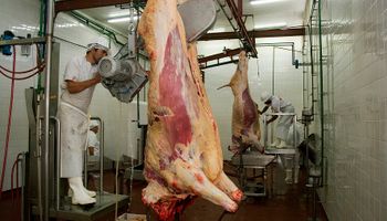 Impulsan mejoras higiénico-sanitarias en plantas de faena de Formosa