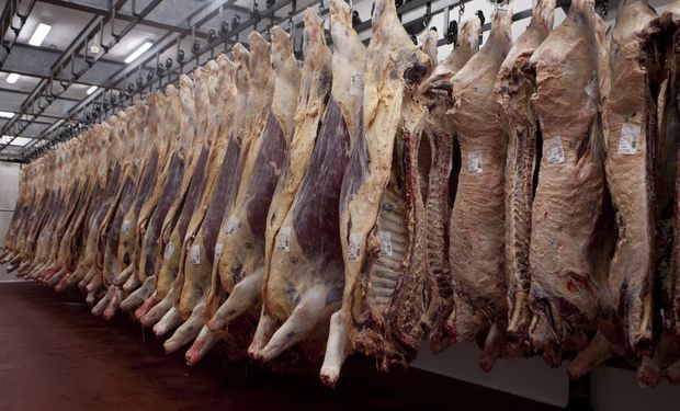 Carne: por menor oferta de hacienda y paros, la faena de enero fue una de las más bajas en 42 años