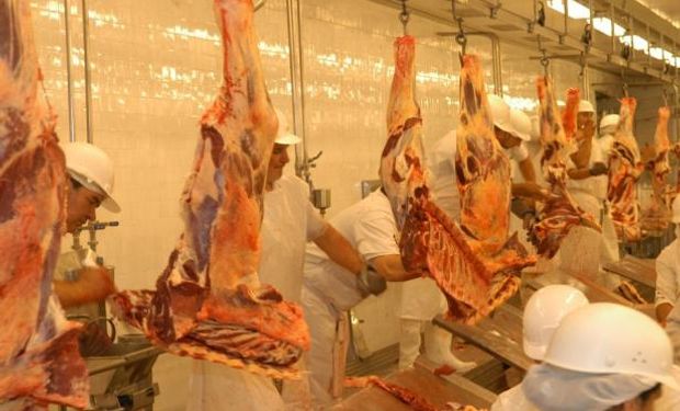 Se reduce la faena de bovinos en Uruguay