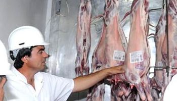 Aumentó la faena de bovinos y porcinos en la región norpatagónica durante 2017