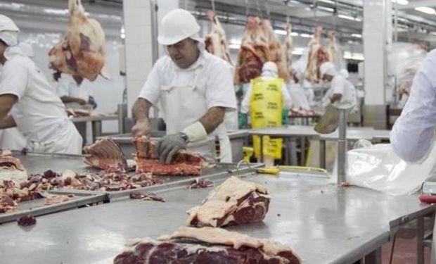 La faena de hembras arrojó una caída de 6,4% anual en octubre