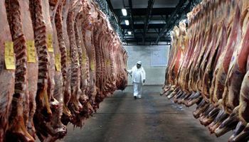 Faena y stock con datos positivos