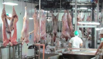 La faena argentina sigue moderándose