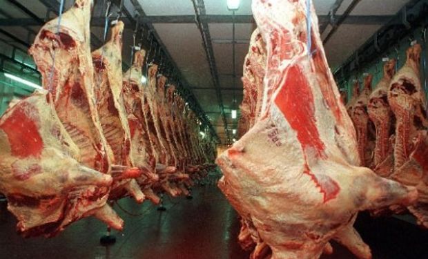 El rodeo estadounidense es 86 por ciento más alto que en la Argentina, pero la producción de carne es 317 más grande.