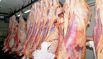 Faena de bovinos cayó 2% en Uruguay
