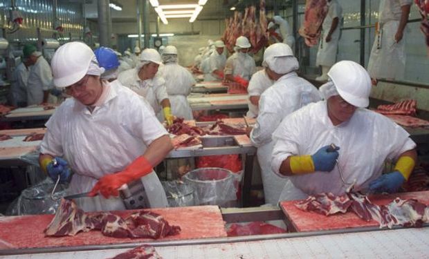 Australia, el gran competidor, hoy está vendiendo a precios por encima de los de Uruguay. Foto: El País.