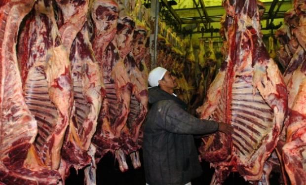 Los frigoríficos están manejando plazos de entrada a faena diferentes para vacas y novillos, acortando los ingresos para las novilladas buenas.