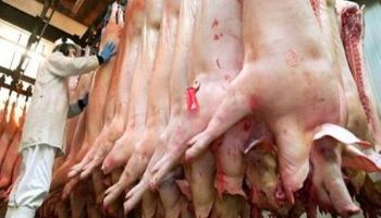 Suben la faena y la producción porcina