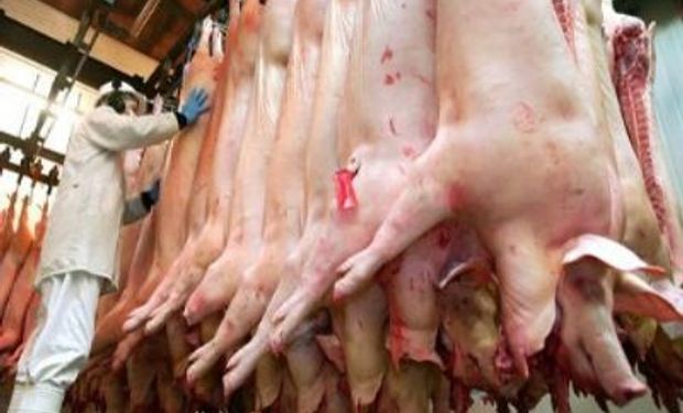 También creció la importación.