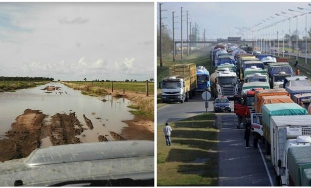 Una clara limitante para explotar el potencial agroindustrial.