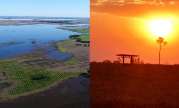 El escenario actual muestra contrastes para Argentina y Brasil.