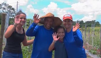 Família deixa a cidade e encontra felicidade na produção agrícola