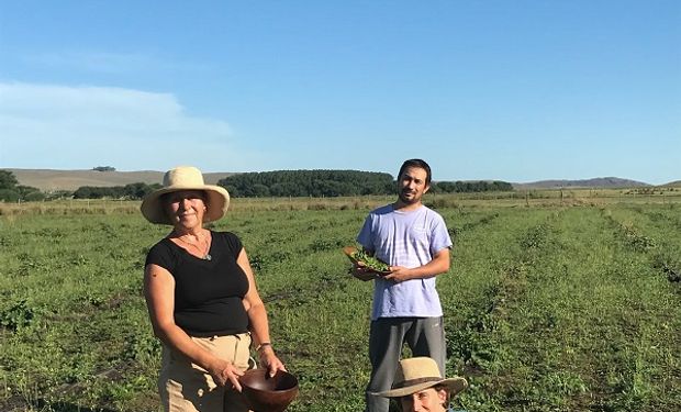 Una familia compró una chacra en los valles de Tandil y se convirtió en el primer emprendimiento de alcaparras