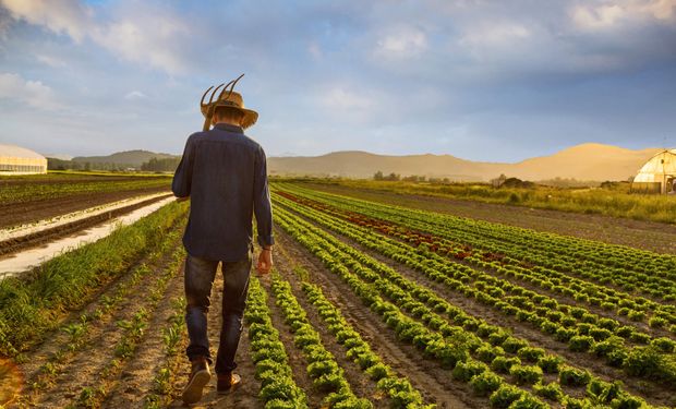 Desenrola Rural dará descontos de até 96% em dívida de pequeno produtor