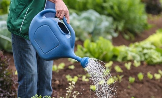 Número de agricultores familiares cai 35,9% no Brasil, diz Ipea