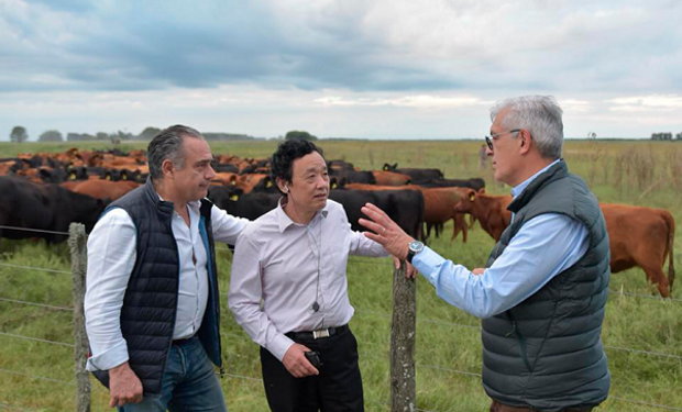 Estancia La Emma: cómo produce el campo que visitó el Director General de la FAO en Argentina