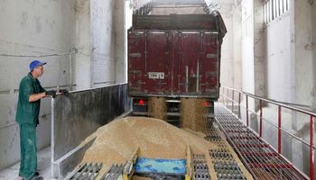 Se disparó el trigo: el precio mundial aumentó un 41% en relación a 2020