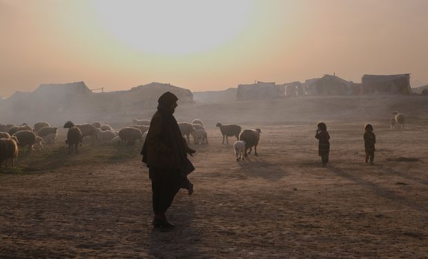  Crisis alimentaria: las cinco medidas que propone la FAO para garantizar el acceso a los alimentos