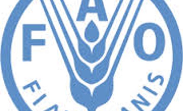 Para la FAO cosechas abundantes mantendrán precios de alimentos en baja