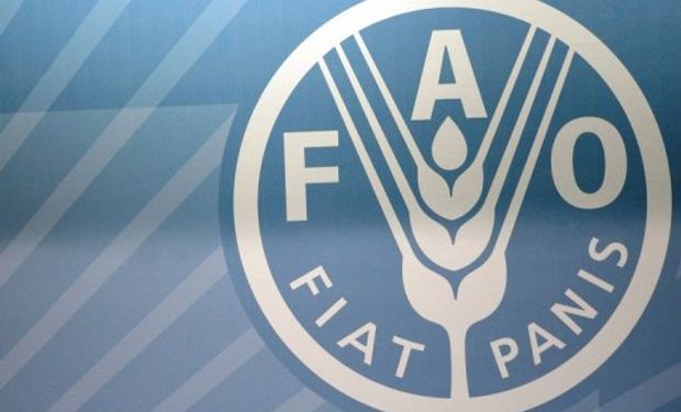 ONU pide ayuda para agricultores filipinos