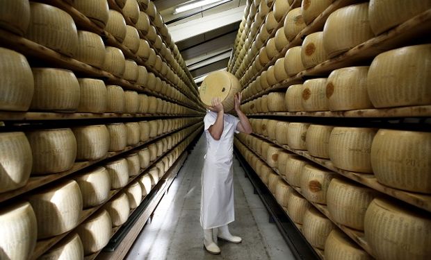 Estanterías de queso parmesano en Italia.