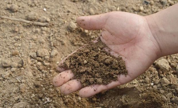 El Oficial de Suelos de FAO en Aapresid: “Las herramientas e incentivos destinadas a los productores son esenciales"