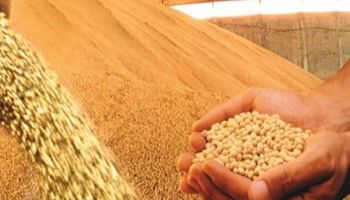 Brasil supera Argentina na exportação de farelo de soja pela primeira vez em 26 anos