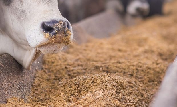 Venda de etanol cai 30% em outubro e atinge menor patamar desde