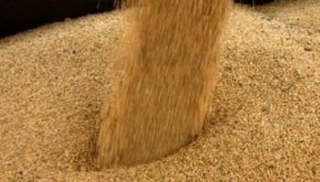 Preço do farelo de soja reage e volta ao maior nível desde abril