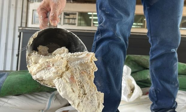 Farinha com urina de rato e insetos é apreendida no Paraná