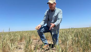 “Espero que Dios nos cuide”: ni con subsidios le dan los números a los farmers que se funden en medio de la sequía