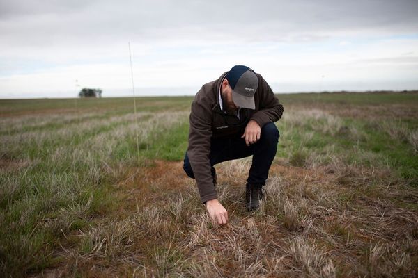 productor en campo con malezas