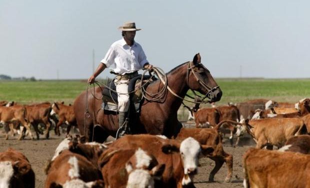 Exportaciones: se desplomó el ánimo y la confianza de los productores por la decisión del Gobierno