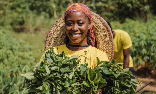 Quem vai alimentar a África? Brasil e África do Sul lideram exportações agropecuárias ao continente