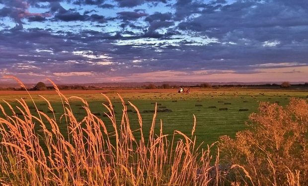 Las startups "son las que van a revolucionar la agricultura en los próximos años”.