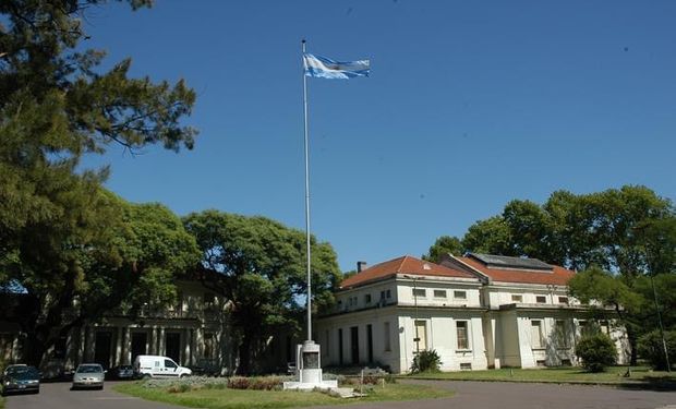 Agronegocios: las tres especialidades que ofrece la Facultad de Agronomía de la UBA