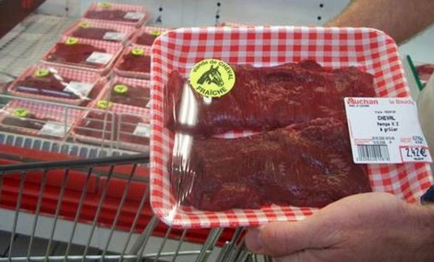 Carne equina para exportación.