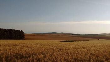 Mejoró notablemente la eficiencia en el uso de la energía para la producción de cultivos