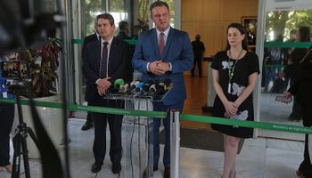 Brasil redobra atenção com gripe aviária após casos na Argentina e Uruguai