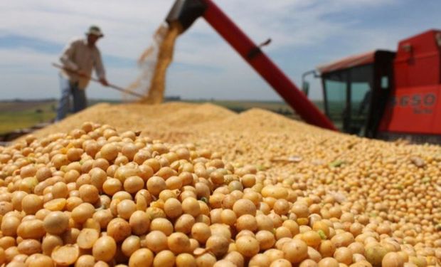 Fávaro propõe conciliação para encerrar impasse da Moratória da Soja