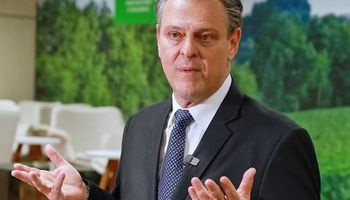 Por adiar casos de gripe aviária, Brasil pôde firmar acordos para restringir impacto de embargos